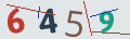 verifycode